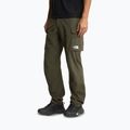 Men's trekking trousers The North Face Exploration Cargo taupe green