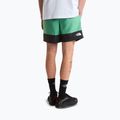 Men's trekking shorts The North Face Leynar dimmed algae/tnf black 3