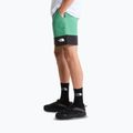 Men's trekking shorts The North Face Leynar dimmed algae/tnf black 4