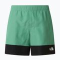 Men's trekking shorts The North Face Leynar dimmed algae/tnf black 9