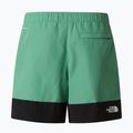 Men's trekking shorts The North Face Leynar dimmed algae/tnf black 10