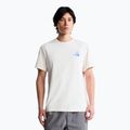Men's trekking T-shirt The North Face Mountain Celebration Regular white dune