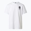 Men's trekking T-shirt The North Face Mountain Celebration Regular tnf white