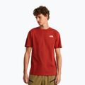 Men's trekking T-shirt The North Face Vertical Regular iron clay