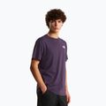 Men's T-shirt The North Face Evolution Box NSE endless dusk