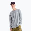 Men's long-sleeve trekking shirt The North Face Evolution Simple Dome Regular LS Tee tnf pale grey heather
