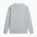 Men's long-sleeve trekking shirt The North Face Evolution Simple Dome Regular LS Tee tnf pale grey heather 5