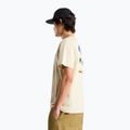 Men's trekking T-shirt The North Face Mountain Celebration Regular desert stone 4