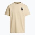 Men's trekking T-shirt The North Face Mountain Celebration Regular desert stone 8