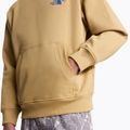 Sweatshirt The North Face Mountain Celebration Relaxed Hoodie khaki stone 9