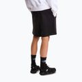 Men's trekking shorts The North Face Box Nse Light Regular Shorts black 3