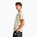 Men's trekking T-shirt The North Face Never Stop Exploring Regular desert 4