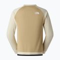 Men's sweatshirt The North Face Mountain Athletics Fleece Crew 2