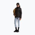 Women's softshell jacket The North Face Quest Mono INS tnf black 2