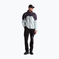 Men's rain jacket The North Face HKE Devils Thumb GTX pearl stone/endless dusk 2