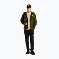 Men's softshell jacket The North Face Quest Mono woodland green 2