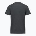 Men's T-shirt Smartwool Lunar Bear Active SS Graphic Tee charcoal heather 2