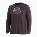 Men's longsleeve Smartwool First Chair Pursuit Active LS mink heather 3