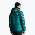 Men's down jacket The North Face Summit Breithorn Hoodie restorative tea 3