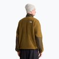 Men's fleece sweatshirt The North Face Yumiori Off Peak 1/2 Zip caraway seed/ne 3