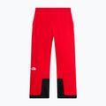Men's ski trousers The North Face Chakal elevation red 5