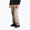 Men's ski trousers The North Face Chakal stone slab