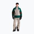 Men's ski trousers The North Face Chakal stone slab 2