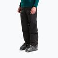 Men's ski trousers The North Face Chakal tnf black