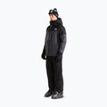 Men's ski trousers The North Face Chakal tnf black 2