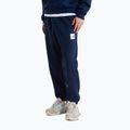Men's trousers The North Face Evo Box Half Dome Regular Tappered summit navy 3
