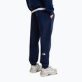 Men's trousers The North Face Evo Box Half Dome Regular Tappered summit navy 4