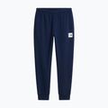 Men's trousers The North Face Evo Box Half Dome Regular Tappered summit navy 5