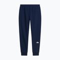 Men's trousers The North Face Evo Box Half Dome Regular Tappered summit navy 6