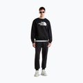 Men's trousers The North Face Evo Box Half Dome Regular Tappered tnf black 2