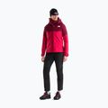 Women's rain jacket The North Face Gtx Jazzi lali guran/burgundy cru 2
