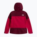 Women's rain jacket The North Face Gtx Jazzi lali guran/burgundy cru 6