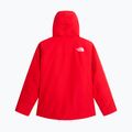 Men's ski jacket The North Face Descendit elevation red 6