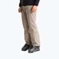 Men's ski trousers The North Face Descendit stone slab