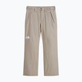 Men's ski trousers The North Face Descendit stone slab 4