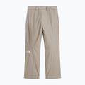 Men's ski trousers The North Face Descendit stone slab 5
