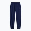 Men's trousers The North Face Evolution Simple Dome Regular Joggers summit navy 4