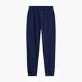 Men's trousers The North Face Evolution Simple Dome Regular Joggers summit navy 5