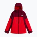 Men's ski jacket The North Face Chakal elevation red/burgundy 5
