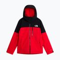 Men's ski jacket The North Face Freedom Insulated elevation red/tnf black 5