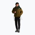 Children's insulated jacket The North Face Reversible Shasta FZ Hooded caraway seed/bo 2