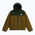 Children's insulated jacket The North Face Reversible Shasta FZ Hooded caraway seed/bo 6