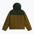 Children's insulated jacket The North Face Reversible Shasta FZ Hooded caraway seed/bo 7