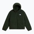 Children's insulated jacket The North Face Reversible Shasta FZ Hooded caraway seed/bo 8