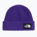 Winter hat The North Face Salty Lined peak purple