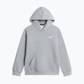 Children's sweatshirt The North Face Evolution Simple Dome Pullover Hood tnf pale grey heather